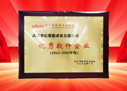 喜讯丨QY千亿球友会QY数据获评2024~2025年度武汉市软件行业&ldquo;优秀企业&rdquo;、&ldquo;优秀工作者&rdquo;荣誉称号！